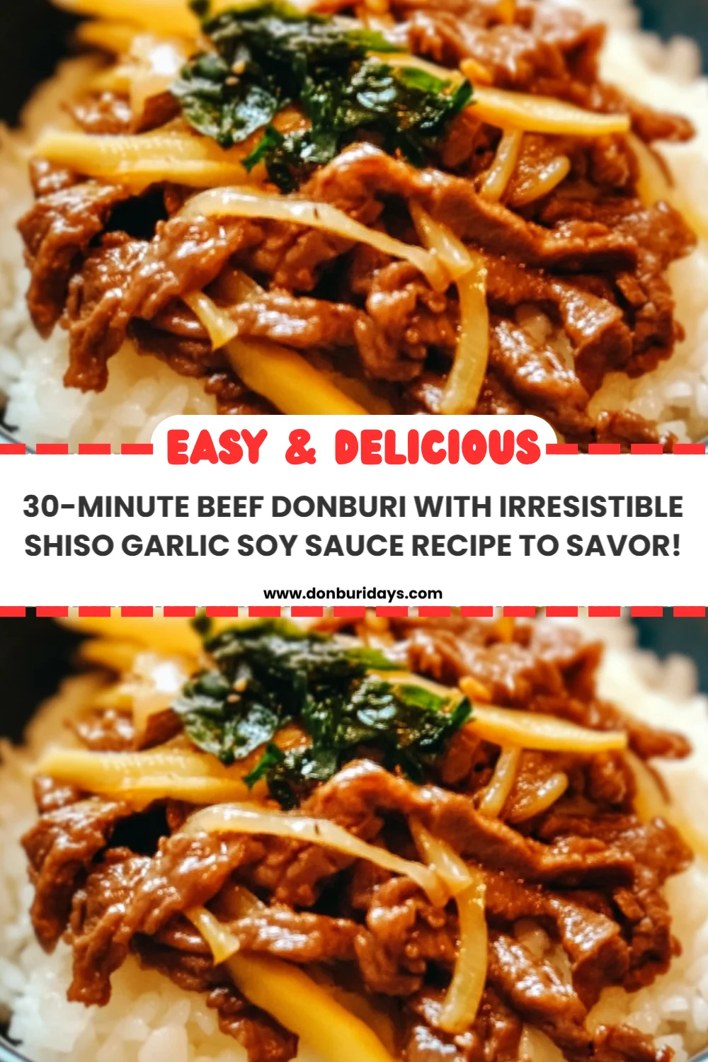 30-Minute Beef Donburi with Irresistible Shiso Garlic Soy Sauce Recipe to Savor!